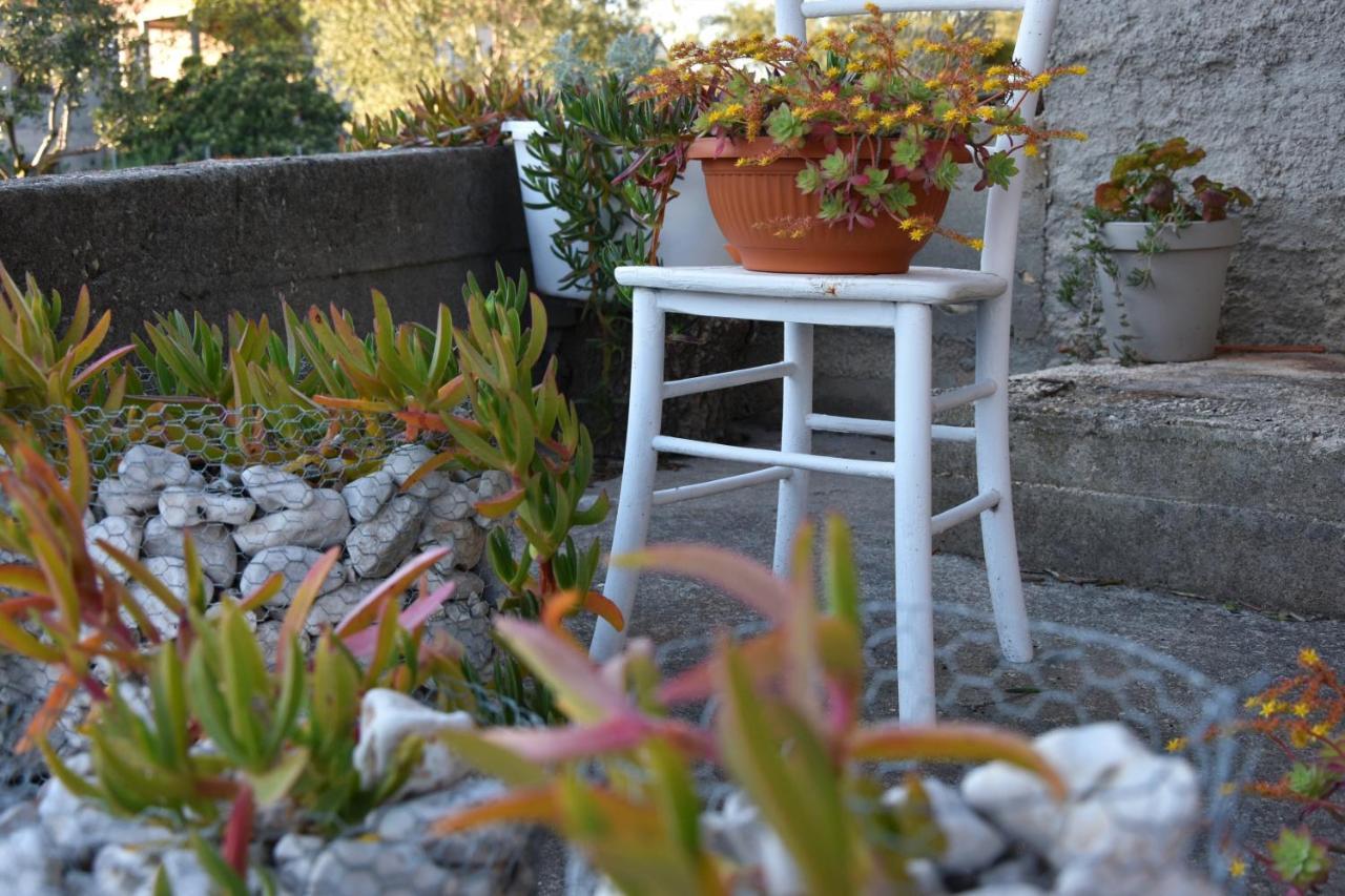 Greenvine Apartment