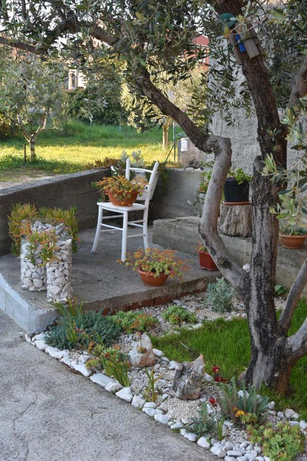 Greenvine Appartement *