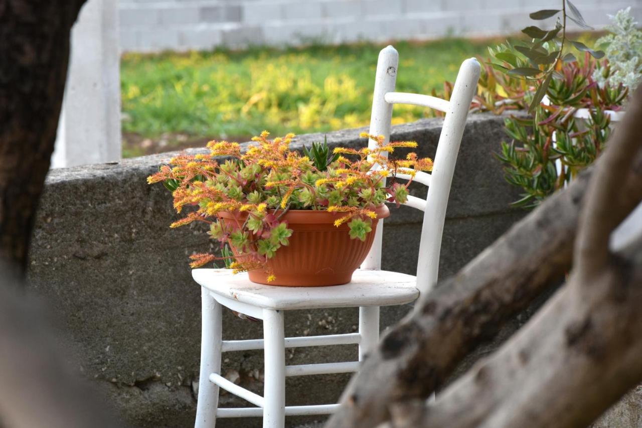 Appartement Greenvine Zadar